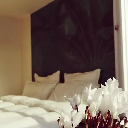 Appartamento Wonderfull Little Penthouse Near Sacre-coeur Parigi